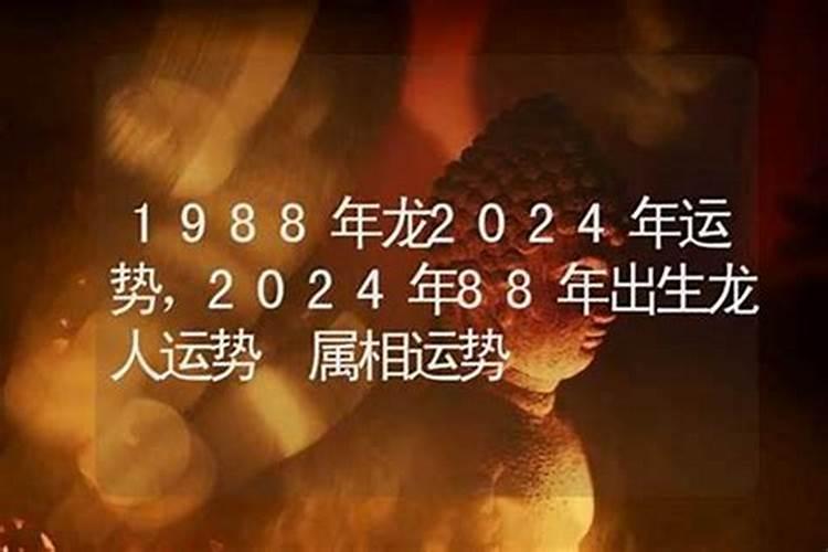 88年9月龙女2026年运势