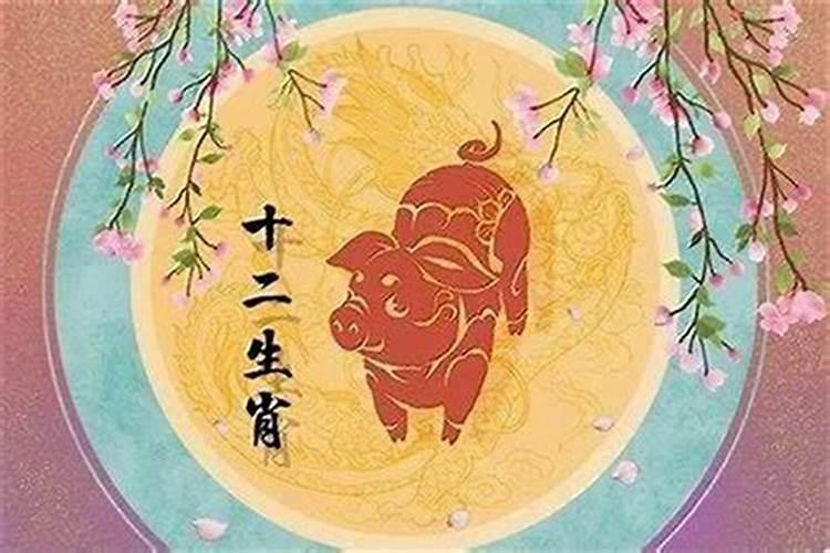 95年男猪人2026年运程