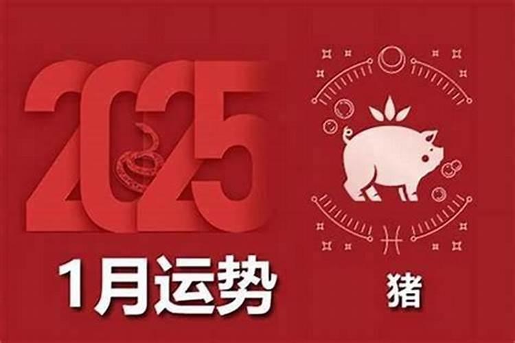 07年的猪2026年运势如何？