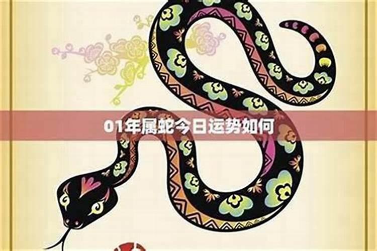 属蛇今年9月份婚姻运势