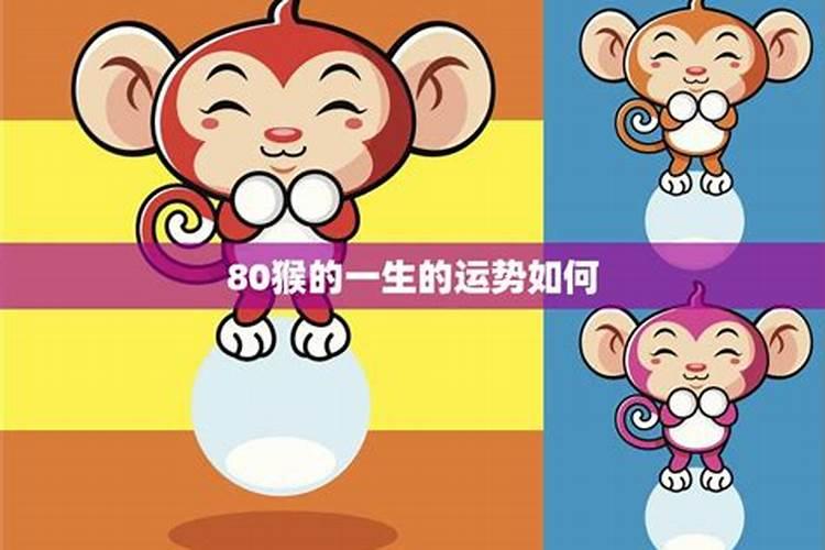 为什么80年属猴的运势那么差？