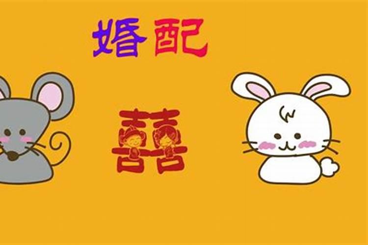 属相鼠和兔婚配好吗？