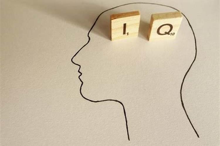 怎么看一个人的智商？
