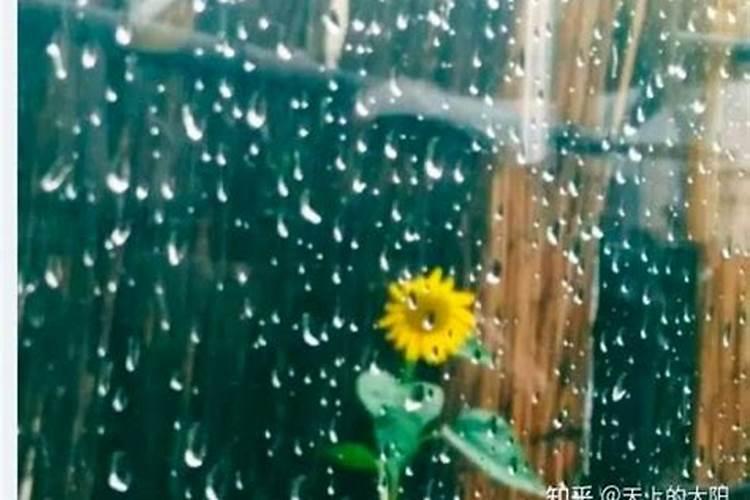 梦到下雨是怎么回事儿？