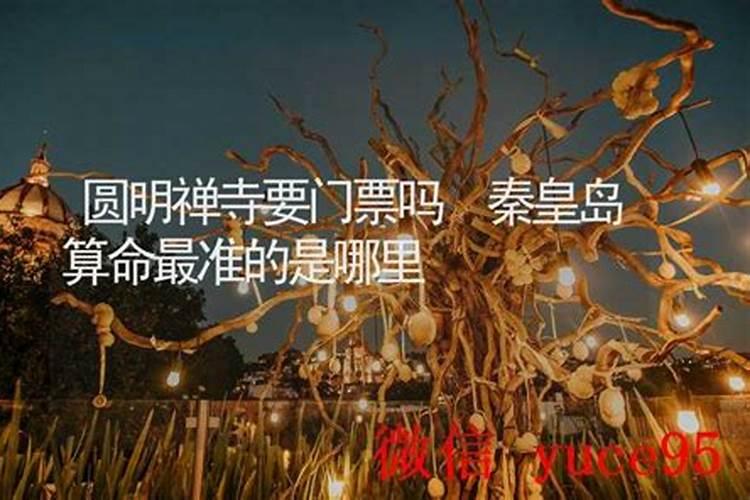 秦皇岛哪里有算命的高人？