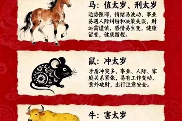 犯太岁什么意思属牛？