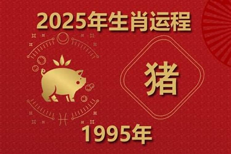 1995年属猪2026年的运势运程