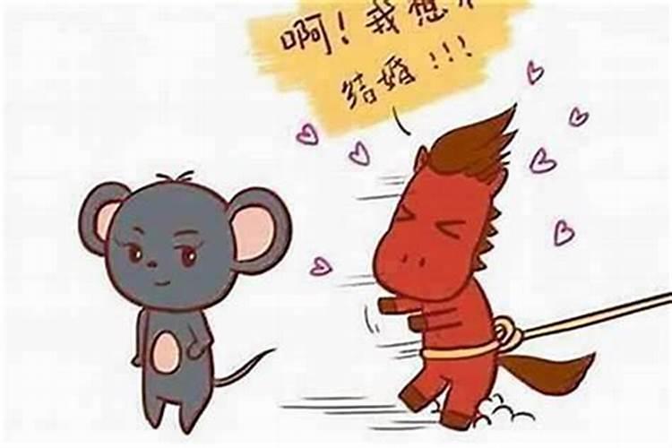 属马的和属鼠的八字合吗？