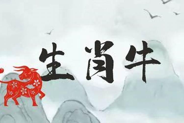 1973年生属牛2026年运势如何？