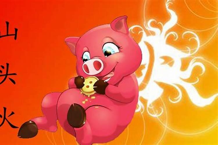 1995年猪什么命？