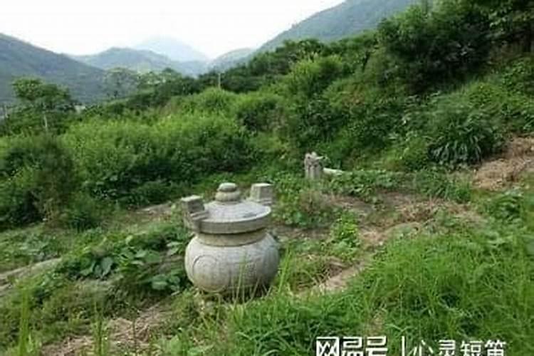 后代学业与祖坟风水官运