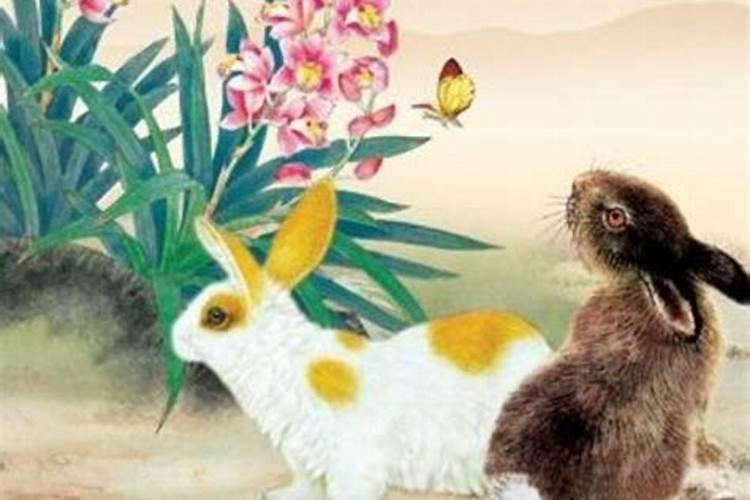 属兔与属马合婚吗？