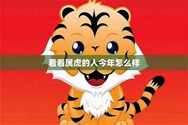属虎今年的运势考试