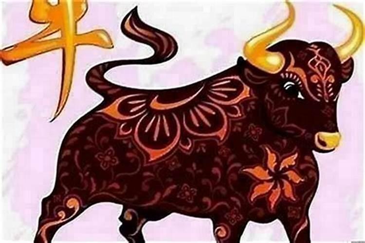 本命年牛应该注意什么？