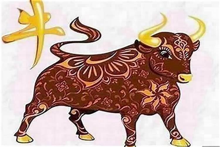 男属牛找对象找什么好？