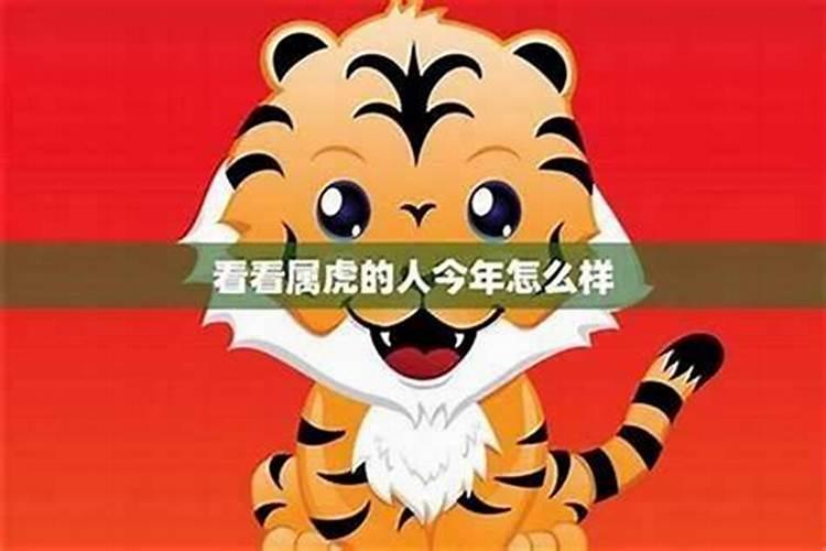 88年五月二十二出生2027运程