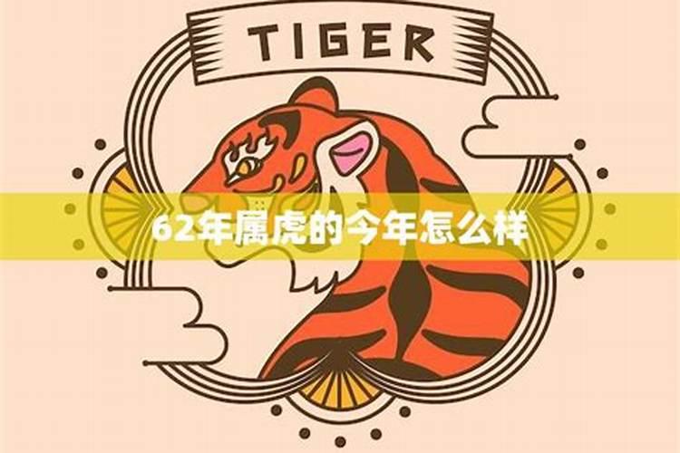 62年虎的运势如何？
