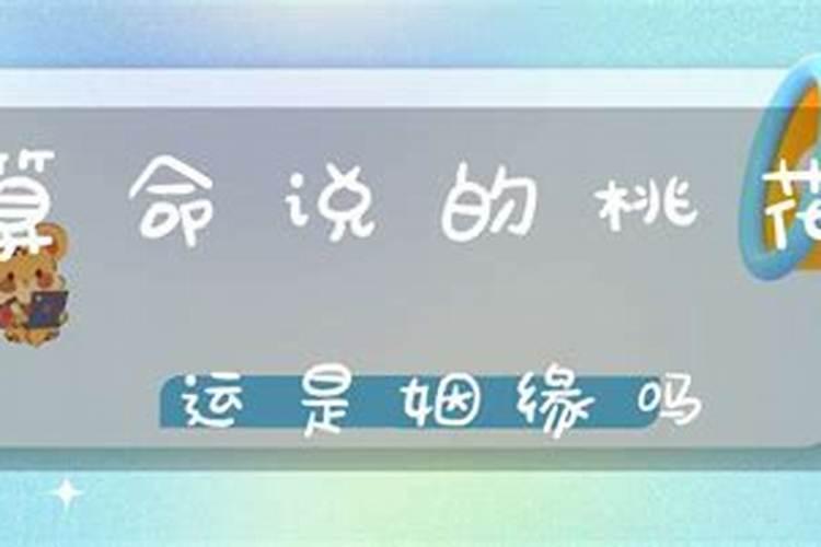 算命说的桃花运是姻缘吗？