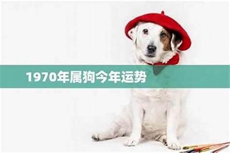 1970年男狗2027年运势
