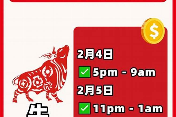 立春红运是什么生肖？