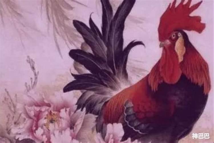 属鸡本命年是哪年？