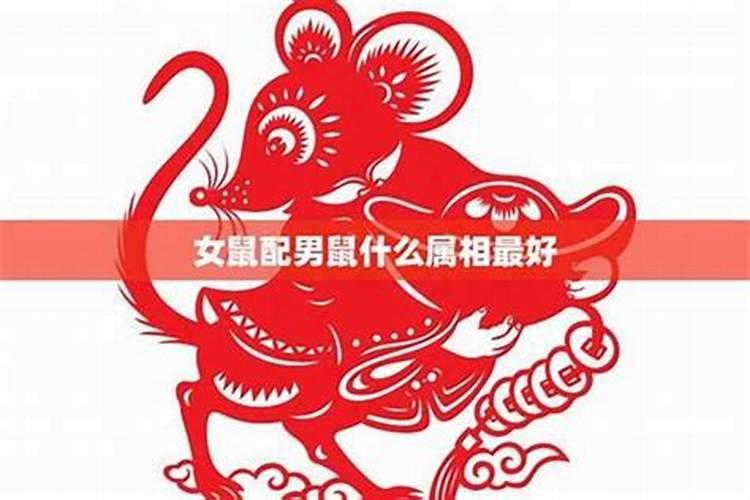 鼠女婚配哪个属相最好？
