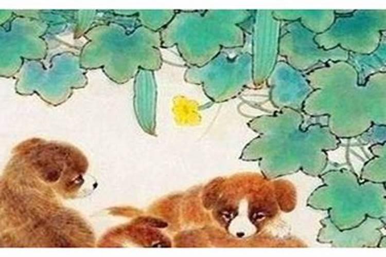 男狗与女猪属相婚配可以吗？