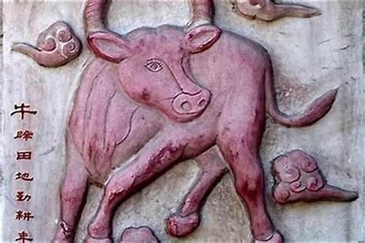 1985年属牛四月十六的运势如何？