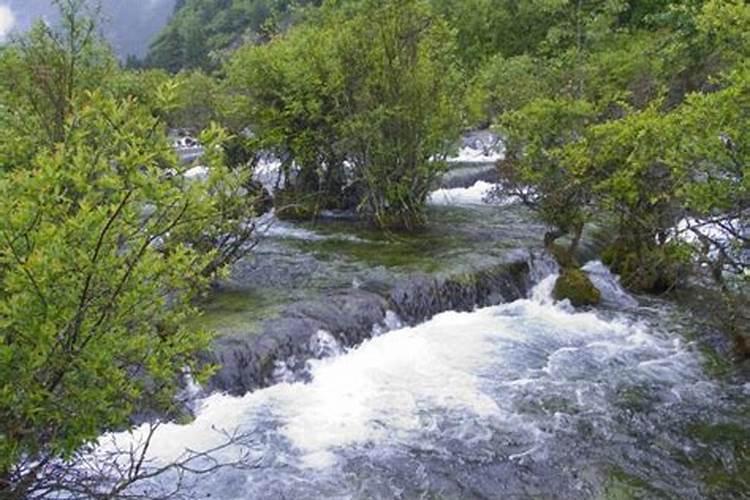 梦见水流是什么征兆周公解梦？