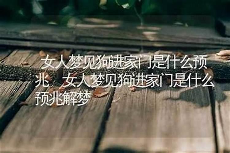 梦见陌生人闯进家里拿东西
