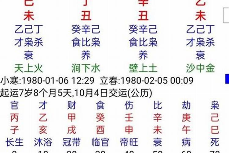 八字命理数据库分析