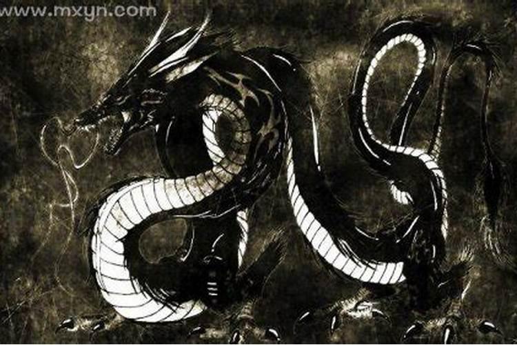 梦见黑龙是什么预兆然后怀孕？