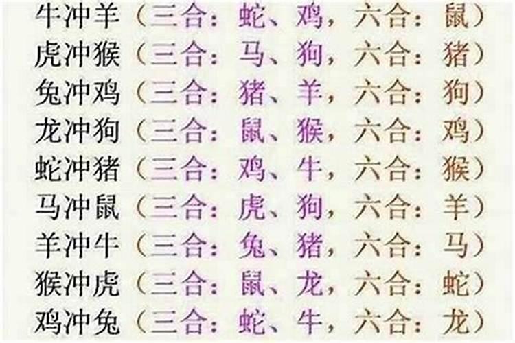 合八字狗跟猪八字合吗？