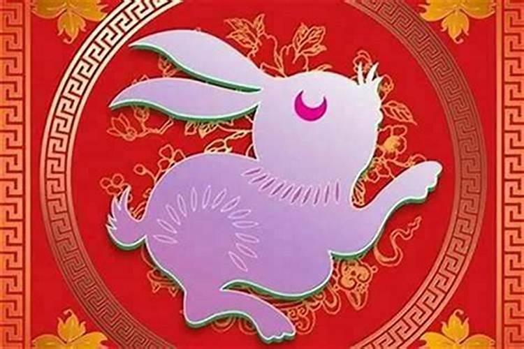 属兔女与什么属相合婚？
