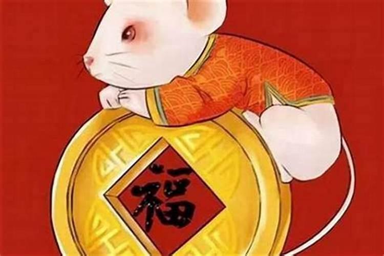84属鼠的今年下半年运势