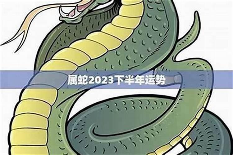 属蛇2027年下半年感情运势