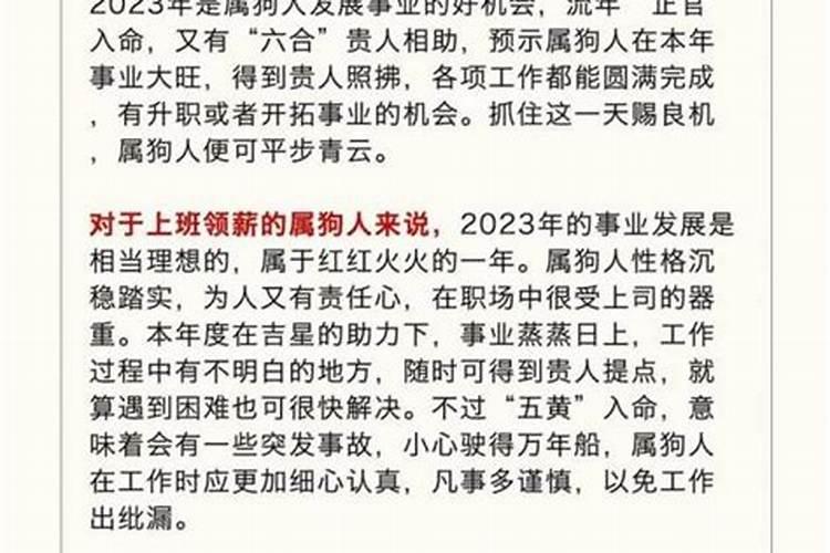 82年属狗人2027年运势