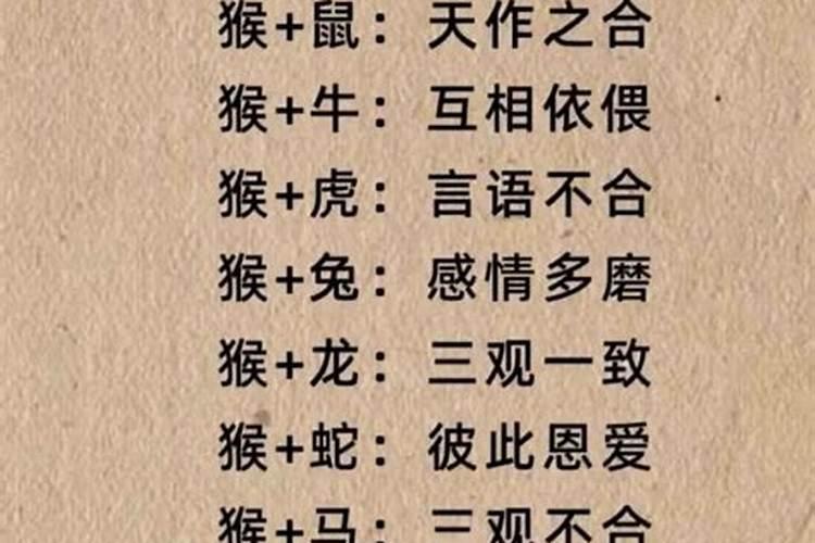 属鸡女的和属猴男八字合不合