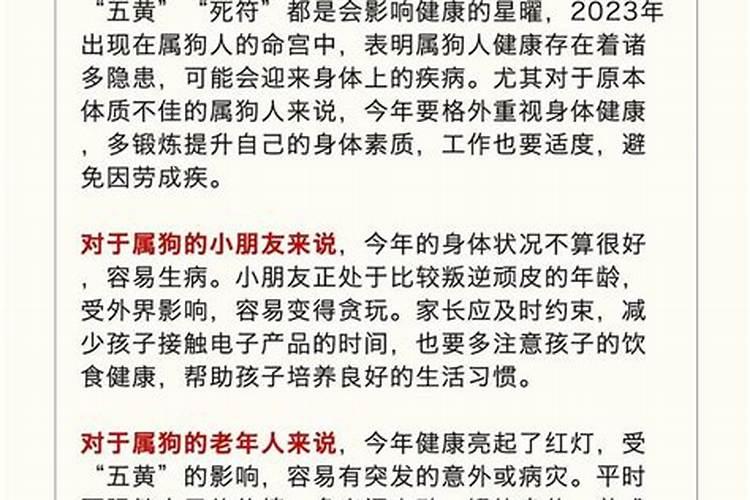 属狗的人今年感情运势怎么样？