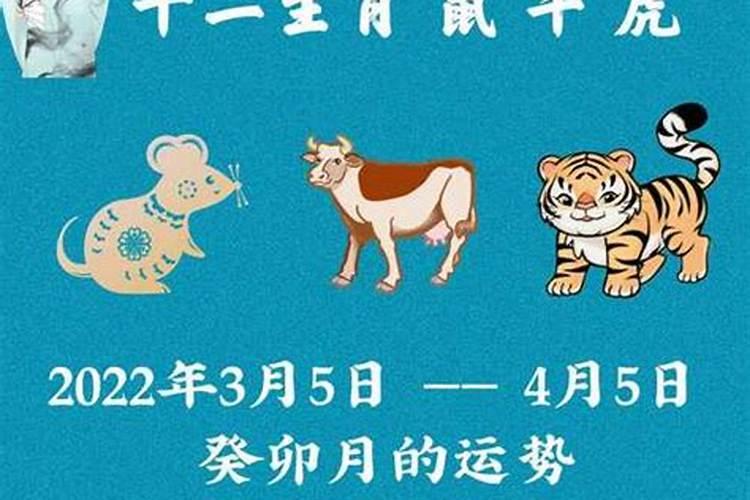 农历3月出生属牛2027运程