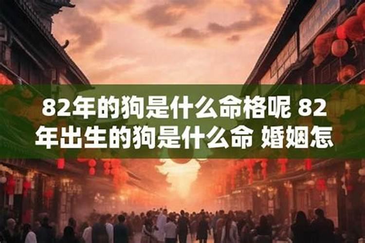 82的狗是什么命？
