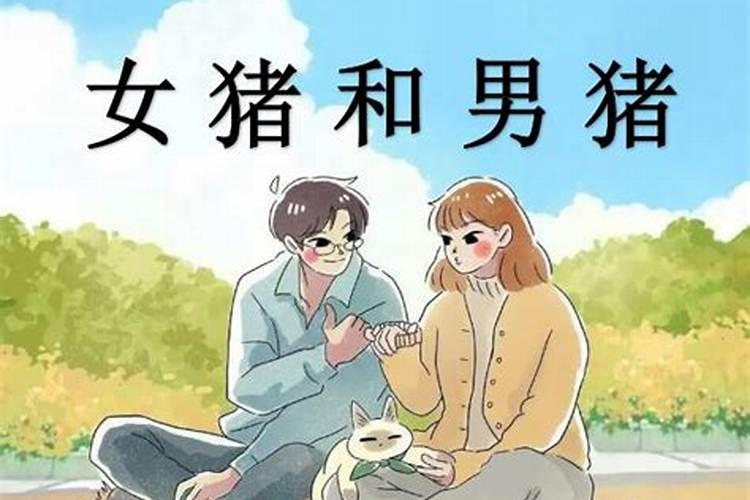 女狗和男猪合婚吗？