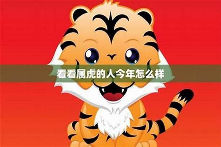 今年属虎的人的运势如何？