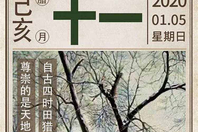 2006腊月十一申时出生