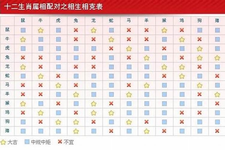 属龙和什么属相婚配最好？