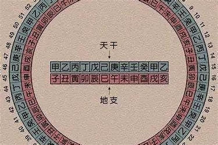 81属鸡的八月运势如何？