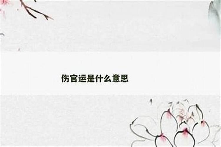 伤官运是什么意思？