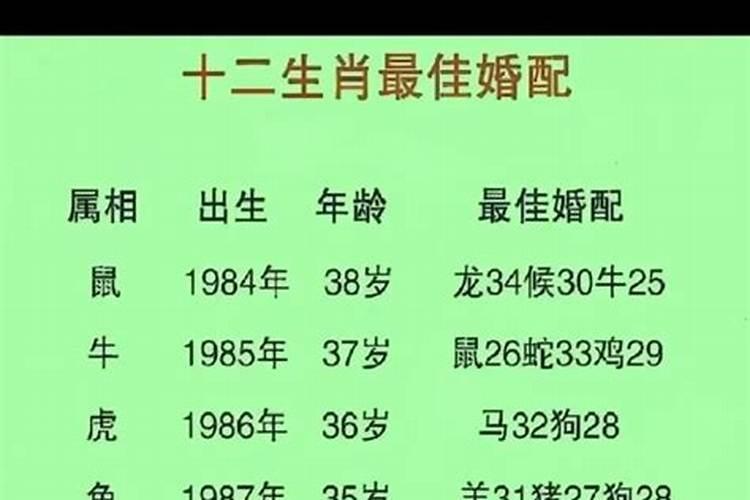 男蛇女猪八字合不合