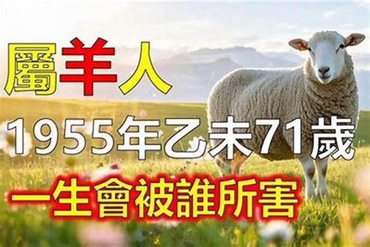 1955出生2027年运程
