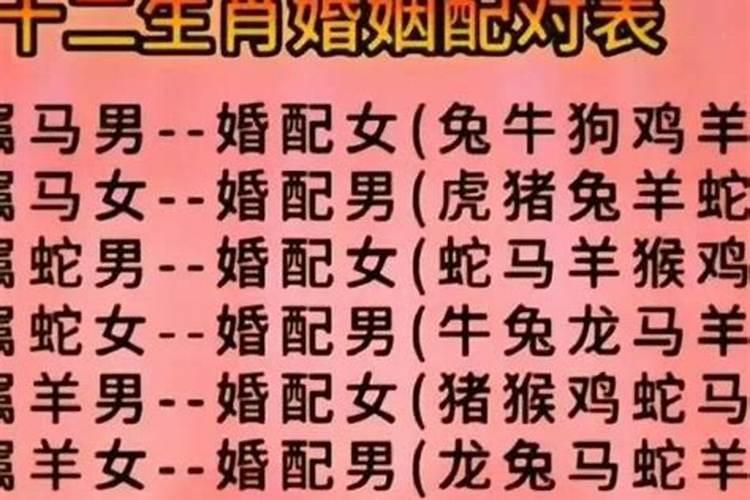 男属马婚配哪些属相？